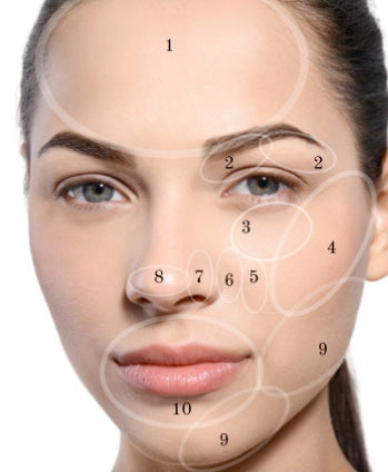 Professional Skin Analysis Face Map